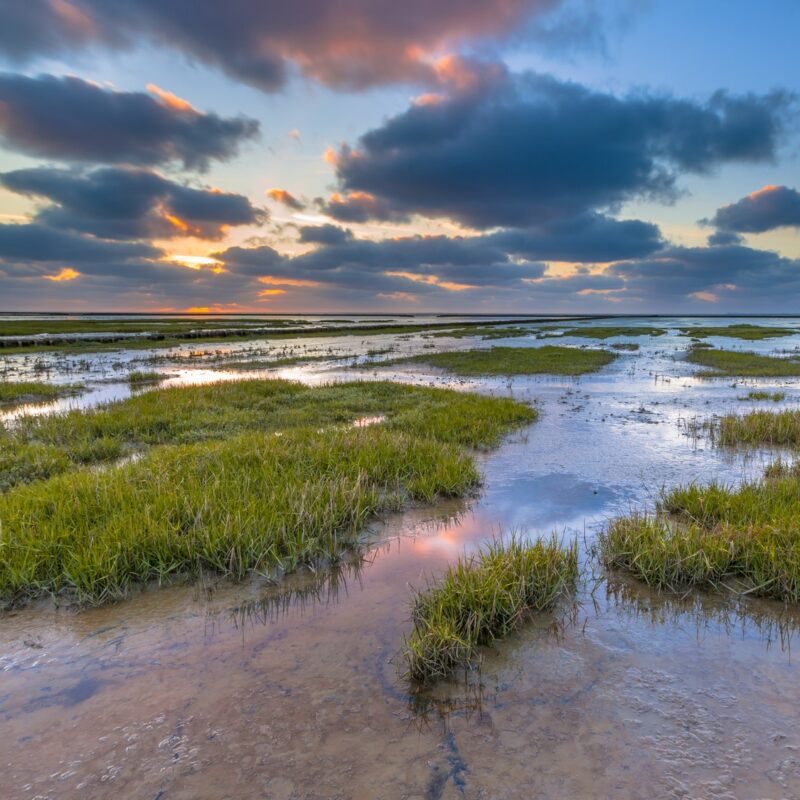 Wadden sea Tidal marsh mud flat