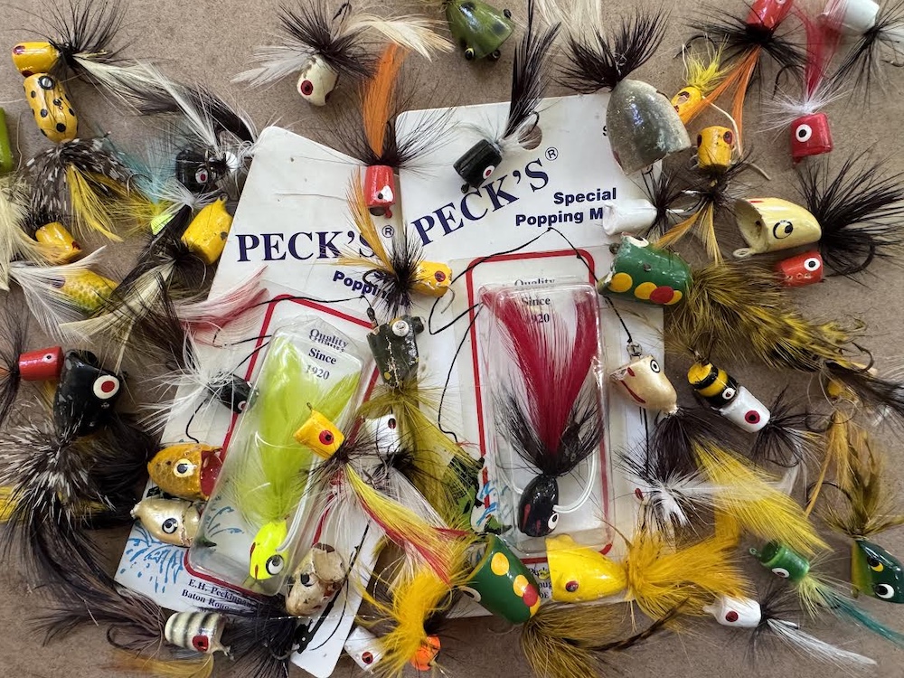 Fly Guide Insects Dad’s Bugs - Fly Life Magazine